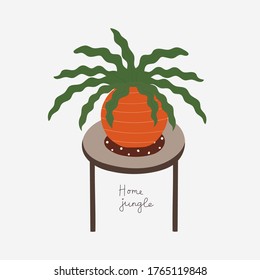 Modern card with house plant on table. Caring for indoor plants. Hobby. Vector flat illustration card witn text Home Jungle.