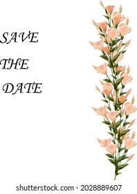 Modern card in rose eustoma leaf greenery branches decorative on white background. Vector elegant template 