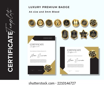 Modern certificate design vector template