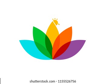 Modern and Charming illustration lotus flower combining with peacock