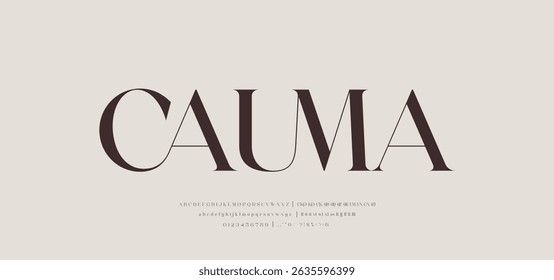 Modern and Classic Elegant alphabet beauty logo font. Classic beautiful Modern luxury Serif Letter Minimal Fashion. Typography decoration logotype fonts, wedding, logos. vector illustration