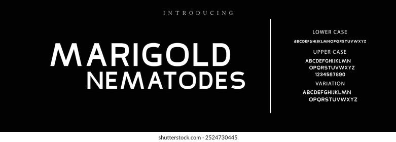 modern and classic sans serif font with a unique style and fancy look. This typeface is perfect for an elegant luxury logo, book or movie title design, fashion brand, magazine, clothes.