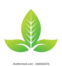 modern clean leaf design vector icon logo