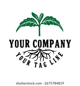 A modern and clean logo featuring a vibrant green cannabis leaf at the top, with the text "YOUR COMPANY" and "YOUR TAG LINE" below, all isolated on a pure white background.