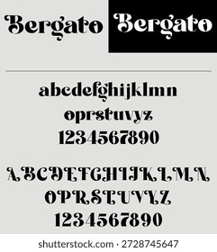 Diseño de tipografía moderno y limpio.
Ideal para branding, diseño de logotipos, titulares, carteles, Diseño web, embalaje y Uso editorial.
Ilustración de tipografía creativa adecuada para proyectos impresos y digitales. fuente escrita a mano, fuente de escritura