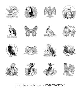 Modern Collection of Vintage Aves Illustrations

