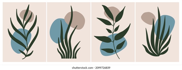 Conjunto de vector botánico de color moderno