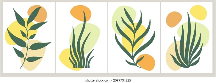Conjunto de vector botánico de color moderno