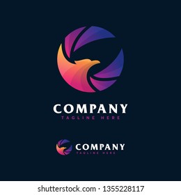 Modern color hawk logo design template