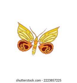 Modern colored butterfly illustration with a white background