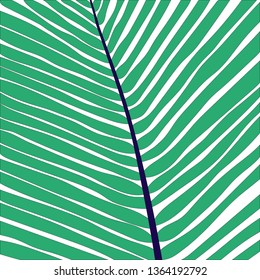 Modern colorful background with palm leaf. Scandinavian illustration for print and web design. Vector