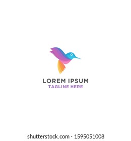 Modern colorful bird logo premium vector illustration.