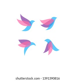 modern colorful bird vector set