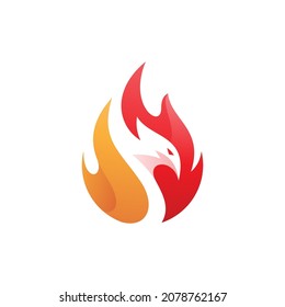 Modern colorful fireball and bird head vector. Phoenix fire flame logo icon