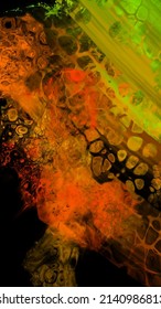 Modern colorful flow background on black. Wave Liquid shape in color banner. Art design for your design project. Vector illustration.