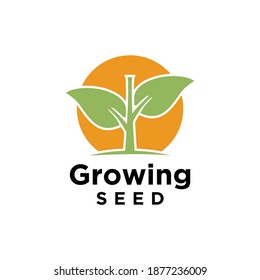 Modern Colorful Growing Seed logo