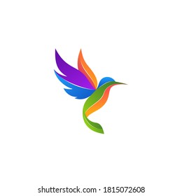 Modern colorful hummingbird logo illustration