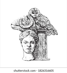 Modern concept antique sculpture, column, owl and ram drawn in sketch style, vintage retro. Isolated vector illustration.