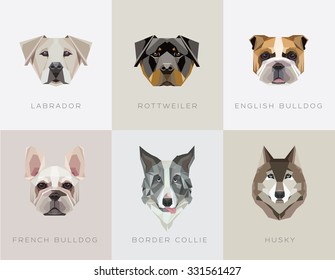 Modern contemporary geometric dog breeds vector illustrations. Labrador retriever, Rottweiler, English bulldog, French bulldog, Border Collie and Husky icons