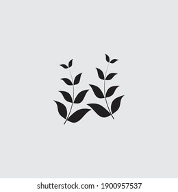 modern and creative leaf and plant design  
