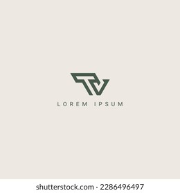 Modern creative letter TV VT logo icon design template elements.