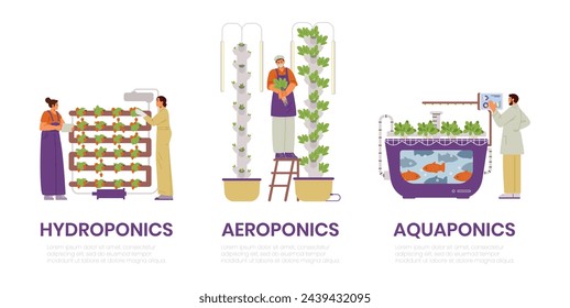 Modern crop production systems for vertical farming vector illustrations set. Hydroponics, aeroponics and aquaponics systems.