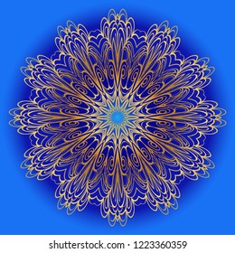 Modern Decorative Cicle Shapes. Floral mandala. vector illustration.