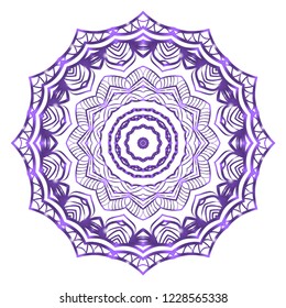 Modern Decorative Cicle Shapes. Floral mandala. vector illustration.