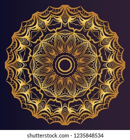 Modern Decorative Cicle Shapes. Floral mandala. vector illustration.