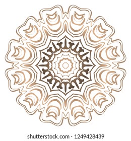 Modern Decorative Cicle Shapes. Floral mandala. vector illustration.