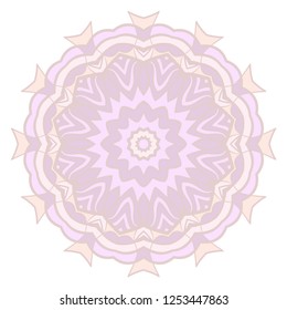 Modern Decorative Cicle Shapes. Floral mandala. vector illustration.