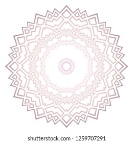 Modern Decorative Cicle Shapes. Floral mandala. vector illustration.