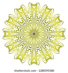 Modern Decorative Cicle Shapes. Floral mandala. vector illustration.