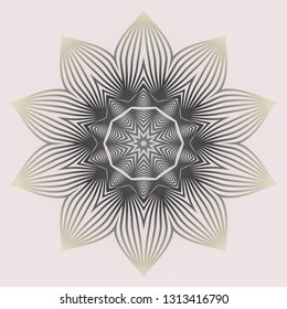 Modern Decorative Cicle Shapes. Floral Mandala. Vector Illustration. White grey color