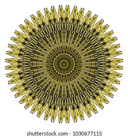 Modern Decorative Cicle Vector Shapes. Floral mandala. Vector illustration