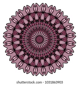 Modern Decorative Cicle Vector Shapes. Floral mandala. Vector illustration