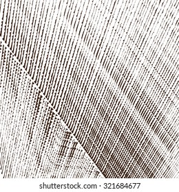 Modern design illustration brown






