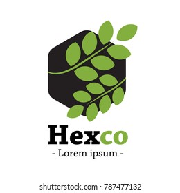 modern design logo of hexagonal logo and eco