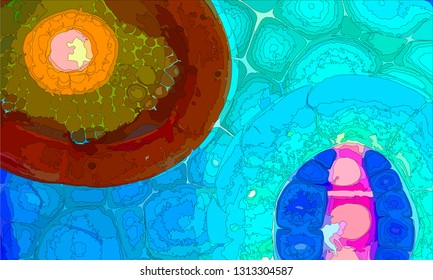 Modern design.Abstract texture splash explosion of colorful bright lines paints.Art design presentations,prints,wallpapers,flyers,cards,screensavers,paintings,websites,packaging,cover.