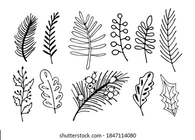 Modern doodle collection with floral branches and leaves on white background. Black outline vector illustration. Winter botanical art.