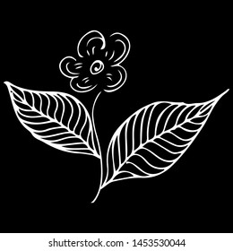 Modern doodle icon with flower outline hand line. Hand drawing sketch vector background. Vector doodle background. Orchid flower. Drawing engraving. Logo illustration.