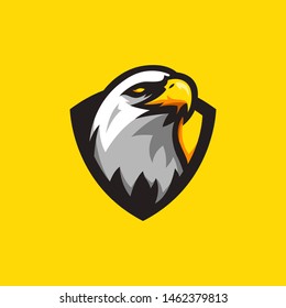 Modern eagle logo or icon 