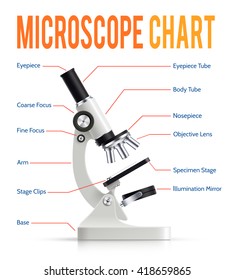 Modern electronic powerful lab microscope parts infographic  presentation chart with realistic instrument side view poster vector illustration