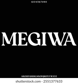 modern and elegant alphabet font vecetor