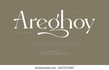 Modern elegant serif font with artistic strokes, perfect for fashion, branding, and editorial design