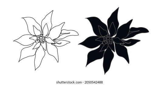 modern elements one line drawing. Concept  holiday, poinsettia flower isolated on white background. hand-drawn,  close-up. romantic design. for print, banner, card, paper. vector art  illustration