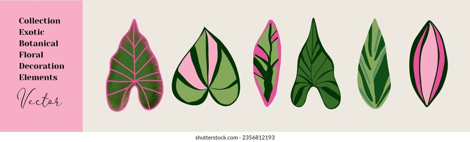 Modern exotic botanical collection. Floral abstract contemporary leaves. Hand drawn unique print.
