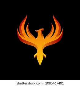 Modern Flaming Phoenix Logo designs template vector illustration