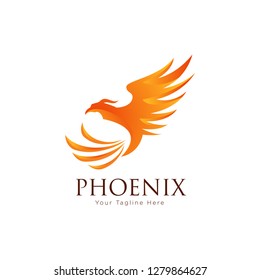 Modern Flaming Phoenix Logo Symbol - Vector 