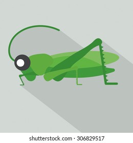 Modern Flat Design Grasshopper Icon Vector Illustration